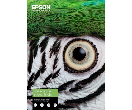 Photo Paper Original Epson S450276 300 g/m² ~ 25 Pages 420mm x 594mm