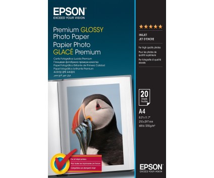 Photo Paper Original Epson S041287 255 g/m² ~ 20 Pages 210mm x 297mm